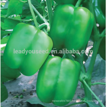 JSP14 Hulun high disease resistant f1 hybrid green sweet pepper seeds,capsicum seeds